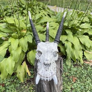 Summit Collection Large Mythical Fantasy Dragon Skull Resin Wall Mount Sculpture